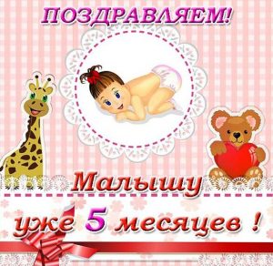 Скачать бесплатно Красивая поздравительная открытка на пять месяцев на сайте WishesCards.ru