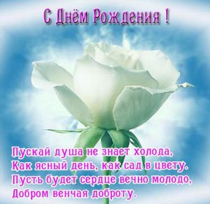 Скачать бесплатно Красивая поздравительная открытка с днем рождения девушке на сайте WishesCards.ru