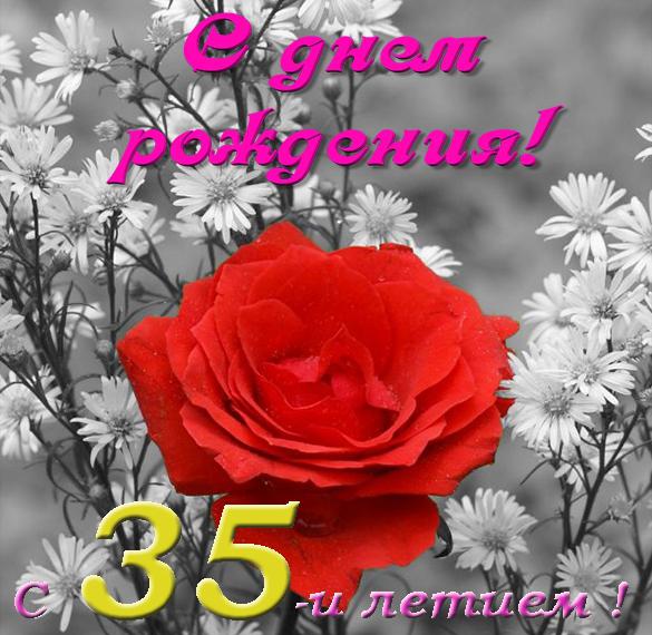 Скачать бесплатно Красивая поздравительная открытка с днем рождения на 35 лет на сайте WishesCards.ru