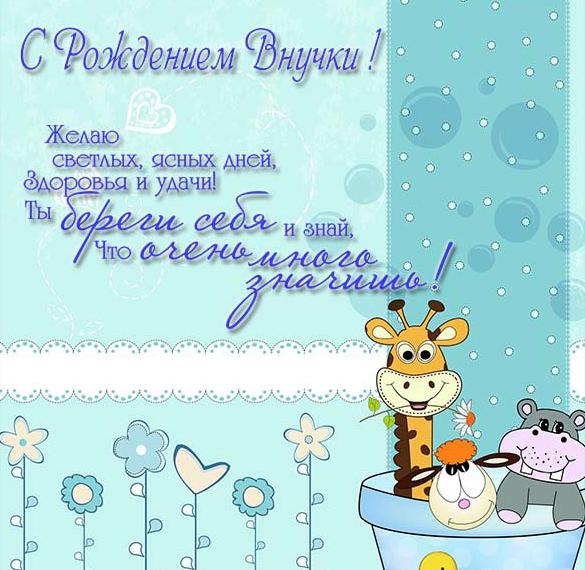 Скачать бесплатно Красивая поздравительная открытка с рождением внучки на сайте WishesCards.ru
