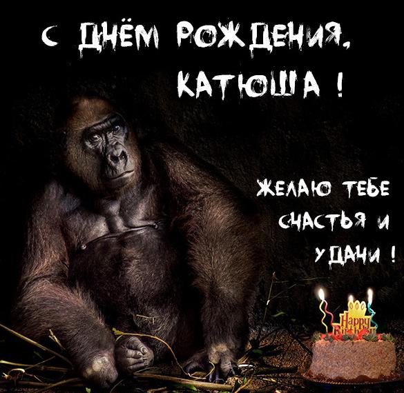 Скачать бесплатно Красивая прикольная картинка с днем рождения Катюша на сайте WishesCards.ru