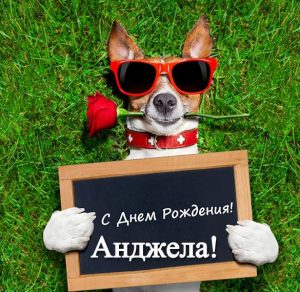 Скачать бесплатно Красивая прикольная открытка с днем рождения Анжела на сайте WishesCards.ru