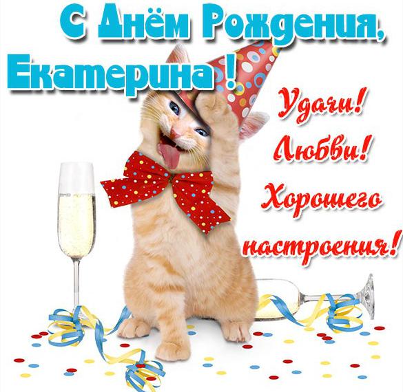 Скачать бесплатно Красивая прикольная открытка с днем рождения Екатерина на сайте WishesCards.ru