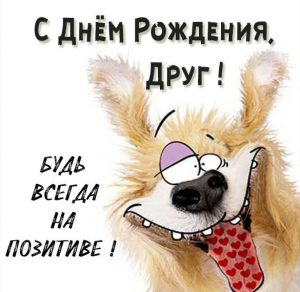 Скачать бесплатно Красивая смешная картинка с днем рождения другу на сайте WishesCards.ru