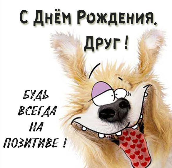 Скачать бесплатно Красивая смешная картинка с днем рождения другу на сайте WishesCards.ru