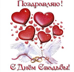 Скачать бесплатно Красивая свадебная открытка на сайте WishesCards.ru