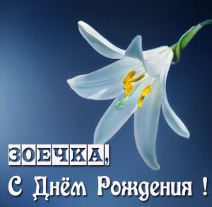 Скачать бесплатно Красивое фото с днем рождения Зоечка на сайте WishesCards.ru