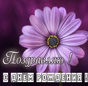 Скачать бесплатно Креативная картинка с днем рождения с цветами на сайте WishesCards.ru