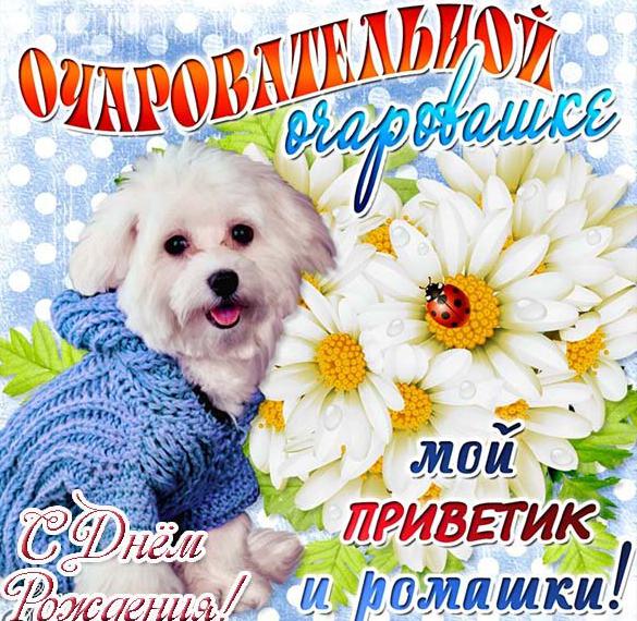 Скачать бесплатно Милая открытка на день рождения на сайте WishesCards.ru