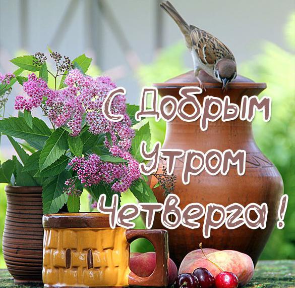 Скачать бесплатно Необычная прикольная открытка с добрым утром четверга на сайте WishesCards.ru
