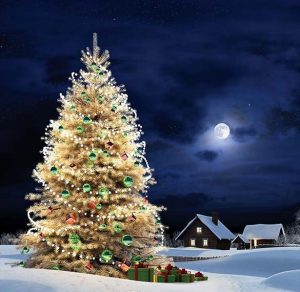 Скачать бесплатно Новогодняя картинка с елкой на сайте WishesCards.ru