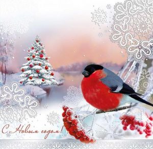 Скачать бесплатно Новогодняя открытка со снегирем на сайте WishesCards.ru