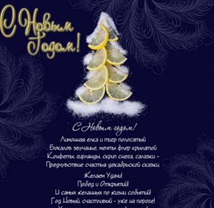 Скачать бесплатно Новогодняя виртуальная бесплатная открытка на сайте WishesCards.ru