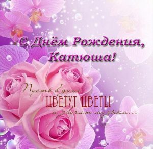 Скачать бесплатно Очень красивая открытка с днем рождения Катюша на сайте WishesCards.ru