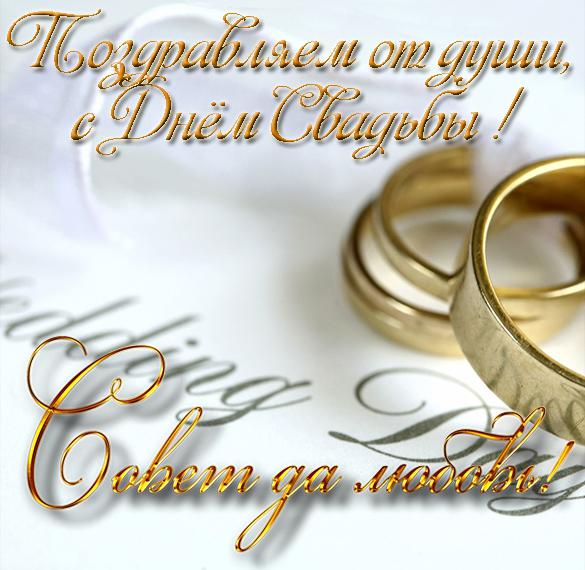Скачать бесплатно Оригинальная поздравительная картинка с днем свадьбы на сайте WishesCards.ru
