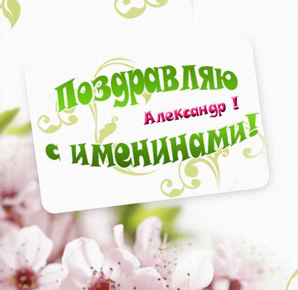 Скачать бесплатно Открытка Александру на именины на сайте WishesCards.ru