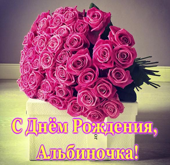 Скачать бесплатно Открытка Альбиночка с днем рождения на сайте WishesCards.ru