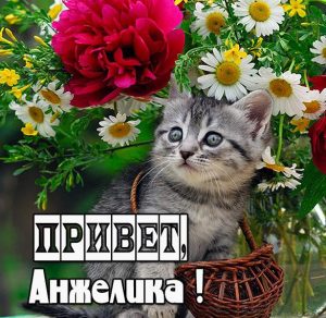 Скачать бесплатно Открытка Анжелика привет на сайте WishesCards.ru