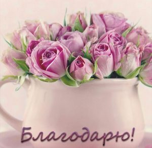 Скачать бесплатно Открытка благодарю женщине на сайте WishesCards.ru