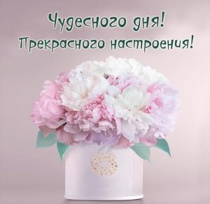 Скачать бесплатно Открытка чудесного дня прекрасного настроения на сайте WishesCards.ru