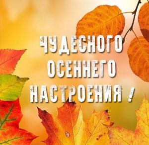 Скачать бесплатно Открытка чудесного осеннего настроения на сайте WishesCards.ru