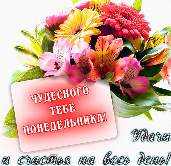 Скачать бесплатно Открытка чудесного понедельника на сайте WishesCards.ru