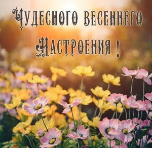 Скачать бесплатно Открытка чудесного весеннего настроения на сайте WishesCards.ru