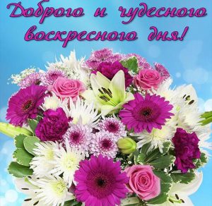 Скачать бесплатно Открытка чудесного воскресного дня на сайте WishesCards.ru