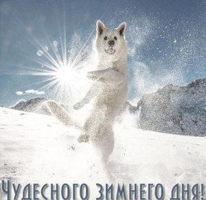 Скачать бесплатно Открытка чудесного зимнего дня на сайте WishesCards.ru