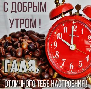 Скачать бесплатно Открытка для Гали с добрым утром на сайте WishesCards.ru