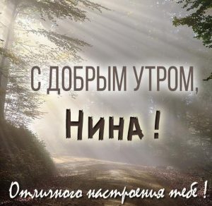 Скачать бесплатно Открытка для Нины с добрым утром на сайте WishesCards.ru