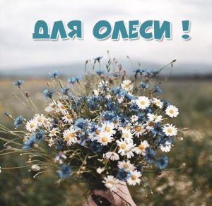 Скачать бесплатно Открытка для Олеси на сайте WishesCards.ru