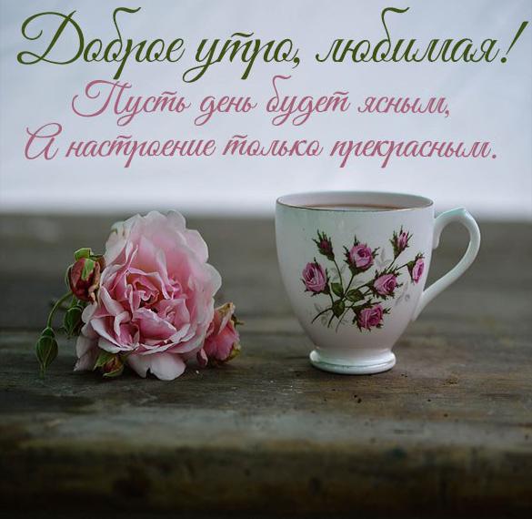 Скачать бесплатно Открытка доброе утро любимая своими словами девушке на сайте WishesCards.ru