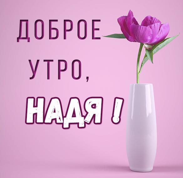 Скачать бесплатно Открытка доброе утро Надя на сайте WishesCards.ru
