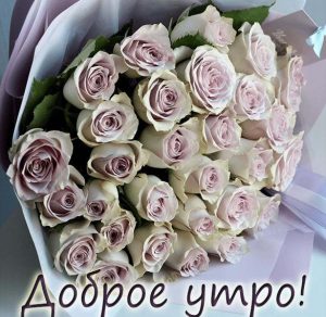 Скачать бесплатно Открытка доброе утро с розами на сайте WishesCards.ru
