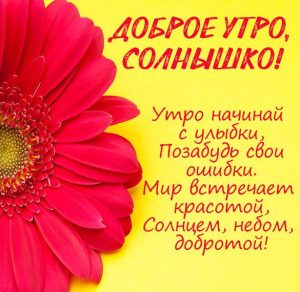 Скачать бесплатно Открытка доброе утро солнышко женщине на сайте WishesCards.ru