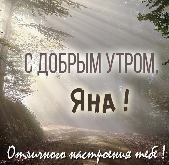 Скачать бесплатно Открытка доброе утро Яна на сайте WishesCards.ru