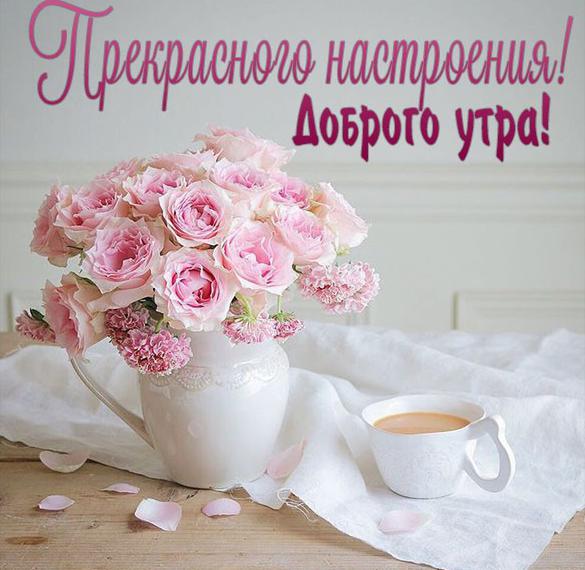 Скачать бесплатно Открытка доброго утра прекрасного настроения женщине на сайте WishesCards.ru