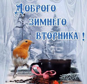 Скачать бесплатно Открытка доброго зимнего вторника на сайте WishesCards.ru