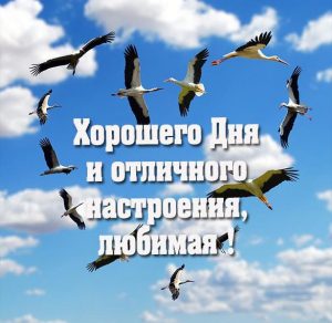 Скачать бесплатно Открытка хорошего дня и отличного настроения любимая на сайте WishesCards.ru