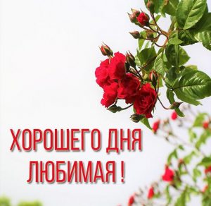 Скачать бесплатно Открытка хорошего дня любимой женщине на сайте WishesCards.ru