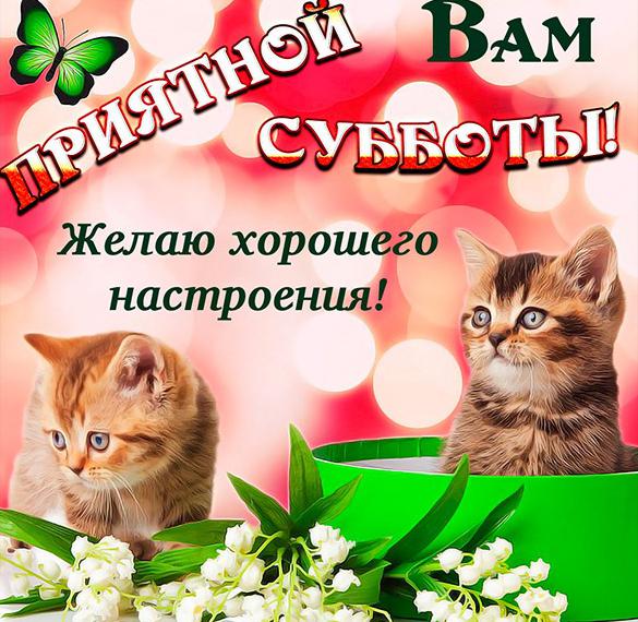 Скачать бесплатно Открытка хорошего субботнего настроения на сайте WishesCards.ru