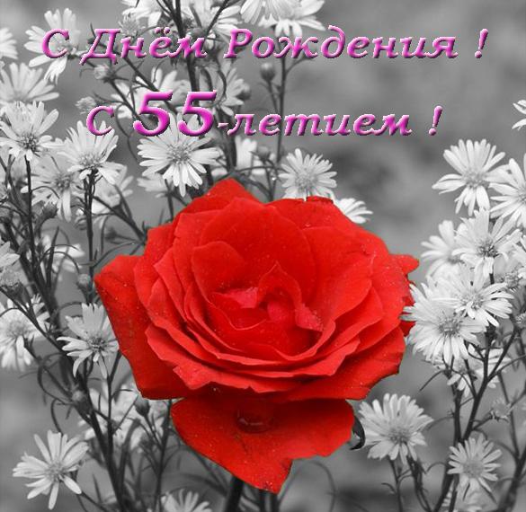 Скачать бесплатно Открытка к 55 летию женщине на сайте WishesCards.ru