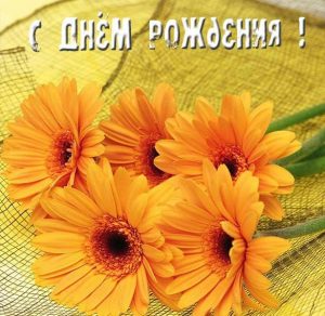 Скачать бесплатно Открытка к дню рождения женщине с цветами на сайте WishesCards.ru