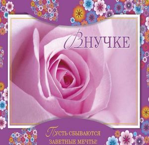 Скачать бесплатно Открытка ко дню рождения внучки на сайте WishesCards.ru