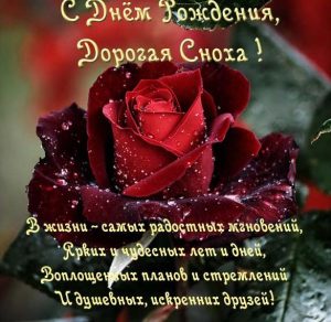 Скачать бесплатно Открытка красивая с днем рождения снохе от свекрови на сайте WishesCards.ru
