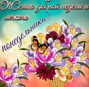 Скачать бесплатно Открытка легкого понедельника и удачной недели на сайте WishesCards.ru