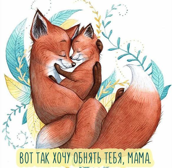 Скачать бесплатно Открытка маму обними на сайте WishesCards.ru