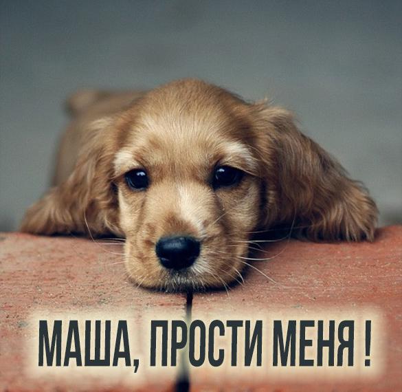 Скачать бесплатно Открытка Маша прости меня на сайте WishesCards.ru
