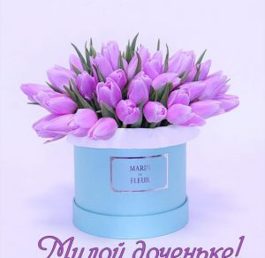 Скачать бесплатно Открытка милой доченьке на сайте WishesCards.ru